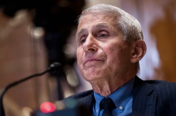 Anthony Fauci Will Step Down as NIAID Director in December