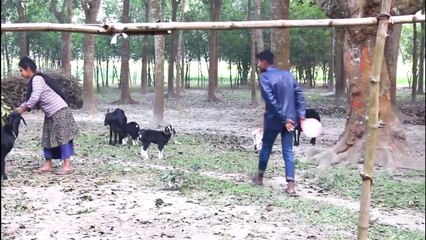 Balloon Blast Prank on Cute Girls || best funny videos|| Prank Pot