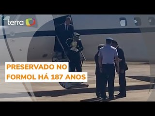 Com honrarias de chefe de Estado, coração preservado de Dom Pedro I desembarca no Brasil