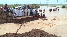 التاسعة هذا المساء| لدغات العقارب والثعابين تهدد حياة متضرري السيول في السودان