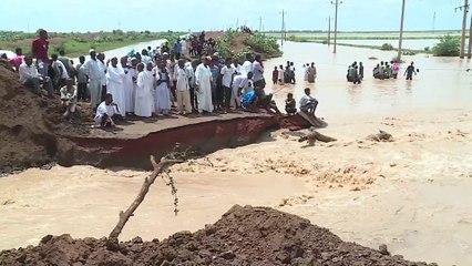 التاسعة هذا المساء| لدغات العقارب والثعابين تهدد حياة متضرري السيول في السودان