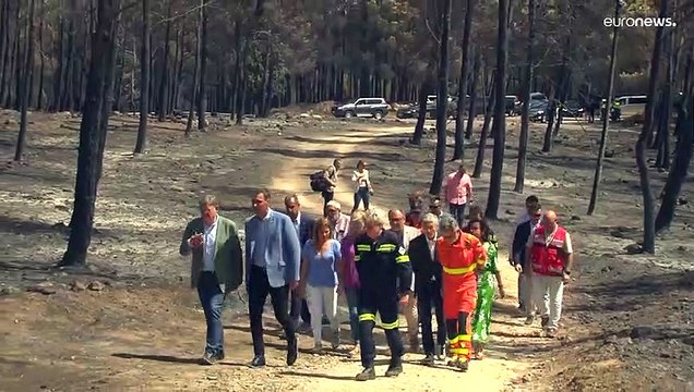 В Испании и Португалии горят леса