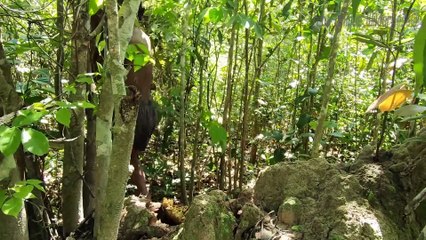 Best hand made house with brother in 150 days