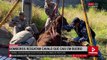 Bombeiros de Apucarana resgatam cavalo que caiu em bueiro