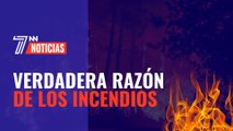 El Gobierno culpa al cambio climático de los incendios: te contamos la verdadera razón