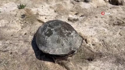 3 yıl önce yüzülen akarsu kurudu