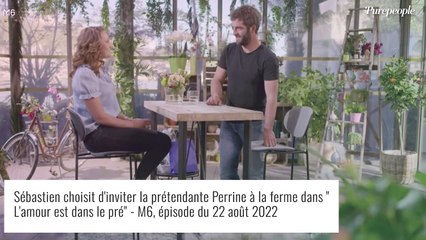 Sébastien (L'amour est dans le pré) : Coup de foudre et premières larmes, son speed dating très intense