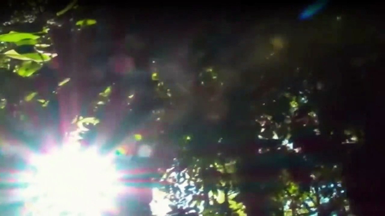 Spurlos verschwunden - Ungelöste Mysterien Staffel 1 Folge 5 HD Deutsch