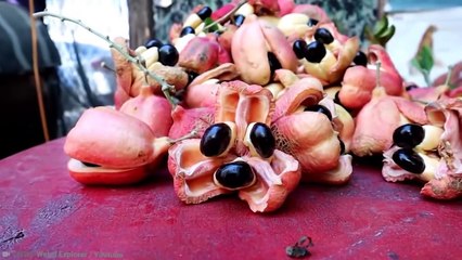 15 Foods You are Not Allowed to Eat In the USA