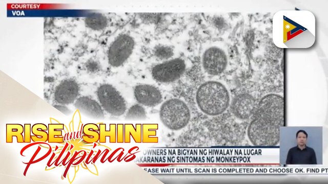 WHO, nanawagan sa pet owners na bigyan ng hiwalay na lugar ang alaga kung makaranas ng sintomas ng monkeypox