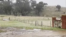 Michelago Farm Camping