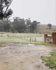 Michelago Farm Camping