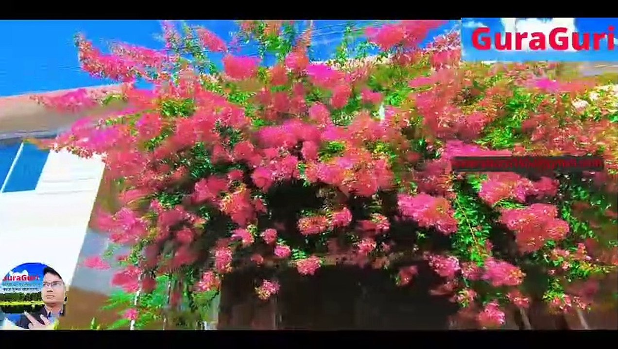 Little London in Bangladesh. Sylhet Valley City _ দেখতে পুরোটাই লন্ডনের