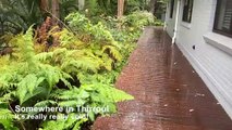 Hailing in Thirroul | 23 August 2022 | Illawarra Mercury