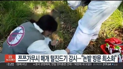 쯔쯔가무시 매개 털진드기 감시…"논밭 방문 최소화"
