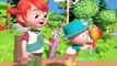 Let's Go Camping Song - Summer Family Fun - CoComelon Nursery Rhymes & Kids Songs