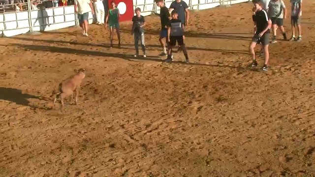 21.08.2022 Sabres Ganaderia Dargelos Cuadrilla Olivier Larrieule Course Seconde Le Taurillon