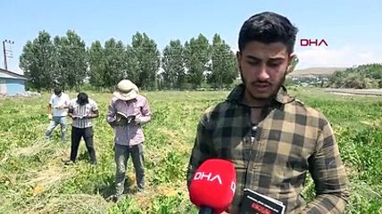 Lise öğrencisi, yazdığı romanı tarlada biriktirdiği parayla bastırdı