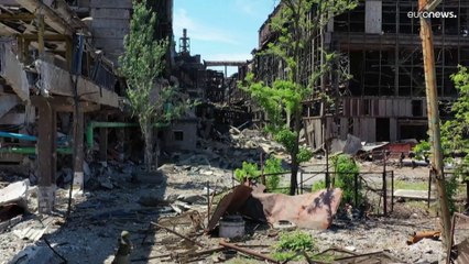 Los supervivientes de Azovstal denuncian torturas por parte de las fuerzas rusas