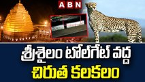 శ్రీశైలం టోల్‌గేట్ వద్ద చిరుత కలకలం || Cheetah at Srisailam Tollgate || ABN Telugu