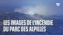 Les images de l'incendie du parc des Alpilles