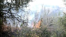 Tekirdağ haberleri | Tekirdağ'da anız ve ağaçlık alan alev alev yandı