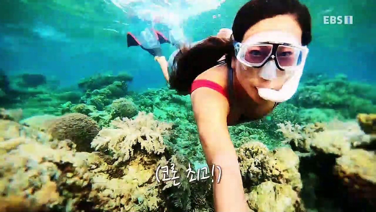 세계테마기행 - 다시 만난 신(新)세계, 필리핀- 파란 바다, 에코 투어_#001