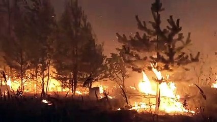 حرائق الغابات تستعر في منطقة ريازان الروسية