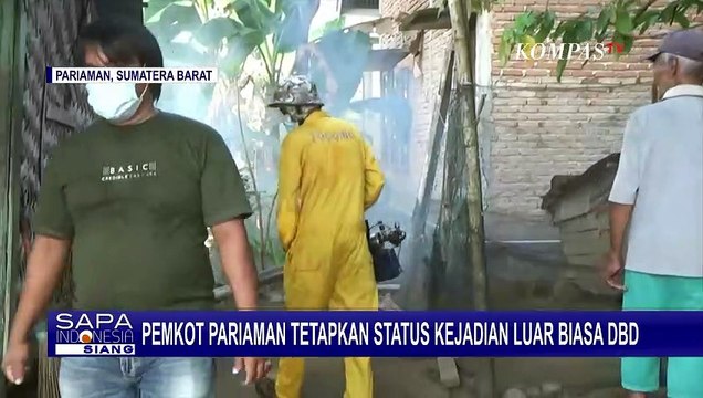 Angka Kasus Demam Berdarah Meningkat, Pemkot Pariaman Tetapkan Status KLB DBD