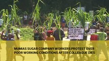 Mumias Sugar Company workers protest over poor working conditions after colleague dies