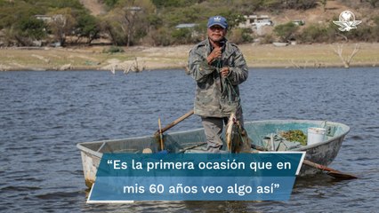 Vive la Mixteca la peor sequía que se recuerde