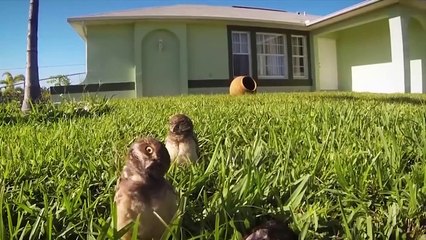 15 Scariest Things Caught On GoPro Camera