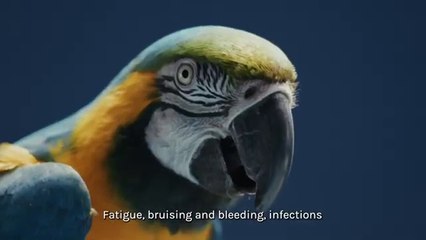 Henry says voicing the symptoms of leukaemia is vital #SpotLeukaemia