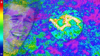 I Survived A Plane Crash