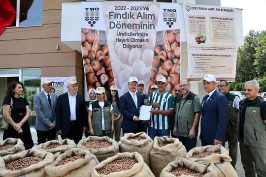 Giresun gündem haberleri... TMO Giresun'da fındık alımına başladı