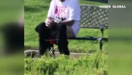 Ünlü aktör herkese açık alanda tuvaletini yaparken görüntülendi