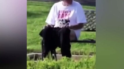 Ünlü aktör parkta pantolonunu çıkarıp tuvaletini yaptı