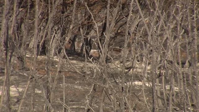 El Gobierno declara zonas catastróficas en 15 comunidades