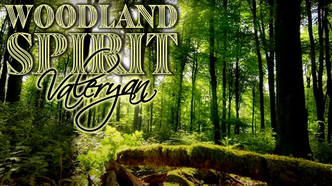 Valeryan - Woodland Spirit (Official Video)
