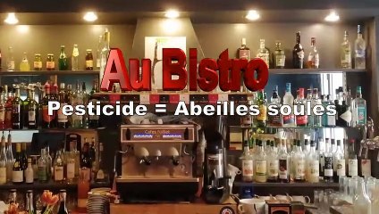 Au BISTRO - Pesticide = Abeilles soûles