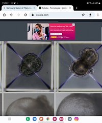 Multiventana con app no compatible. Samsung Galaxy Z Fold4