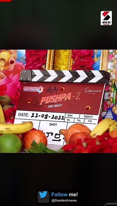 પુષ્પા ધ રાઇઝની સિક્વલ પુષ્પા ધ રૂલનું શૂટિંગ થશે શરૂ