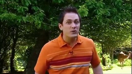 Boogie Beebies Kangaroo