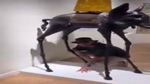 Ramos y Pilar Rubio se graban en un museo de Dalí y el video ya es viral por lo que hacen