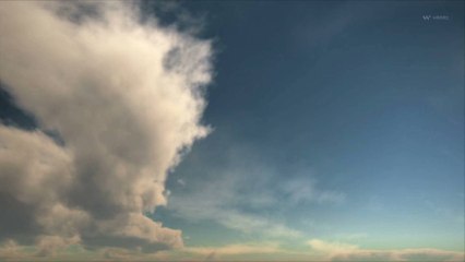 Environnement : le gouvernement prévoit de réguler les vols de jets privés