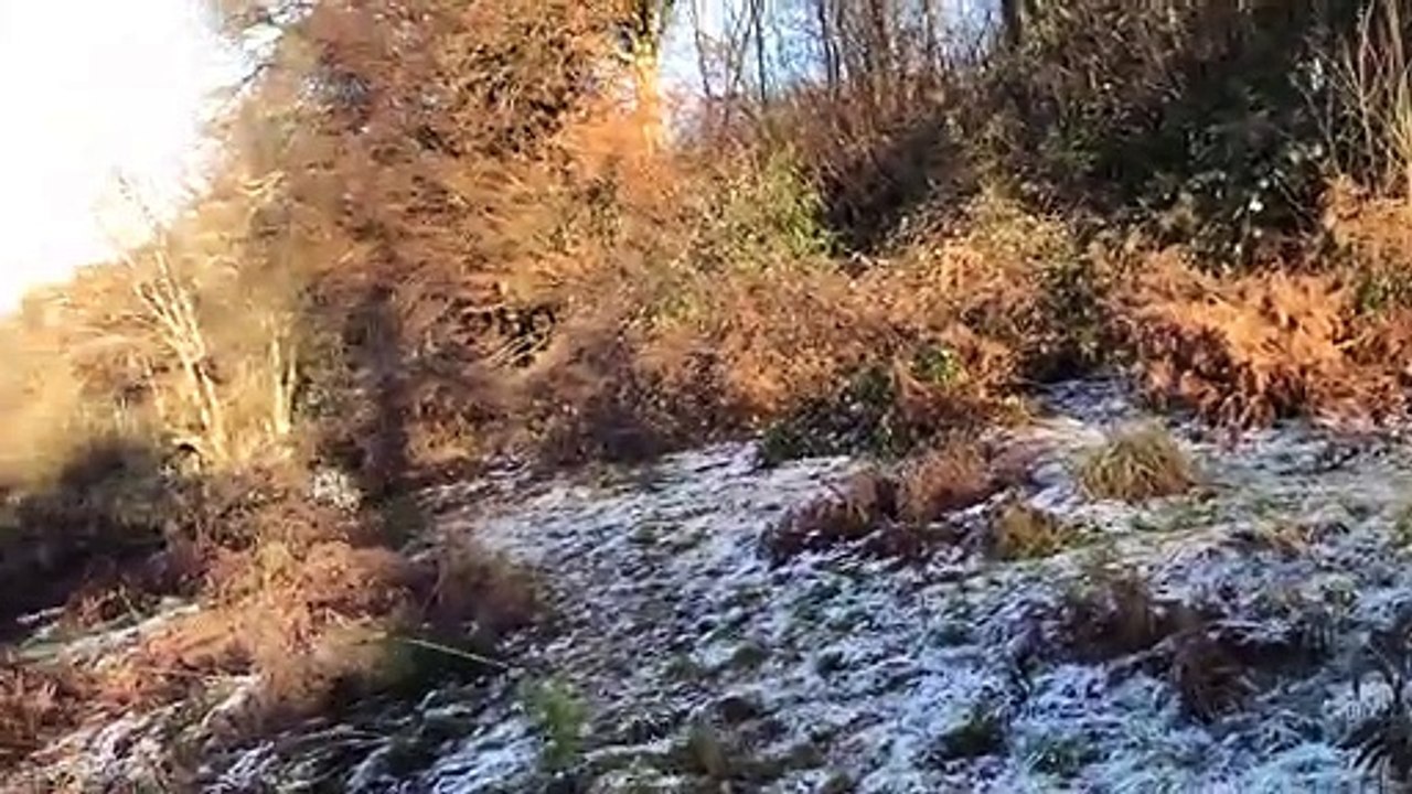 Partie de chasse 3