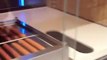 Ce robot fabrique des Hot Dogs... Enfin presque