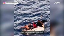 Balseros cubanos reman a mano antes de ser rescatados por un crucero