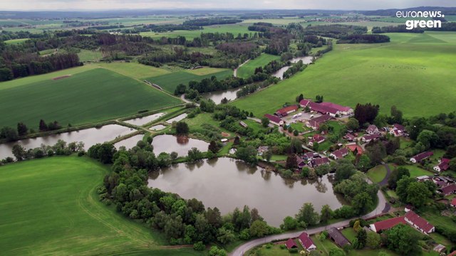 Традиции чешского рыбоводства помогают сохранить природу