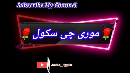 Moor chi school | مورچی سکول | ansha__typist
